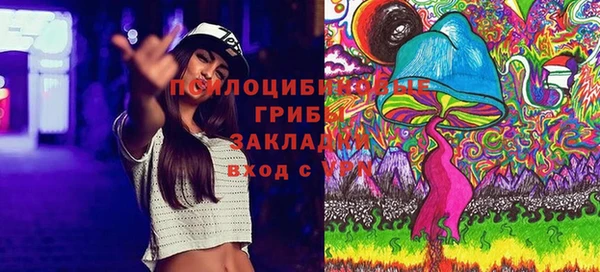 ГАЛЛЮЦИНОГЕННЫЕ ГРИБЫ Лабытнанги