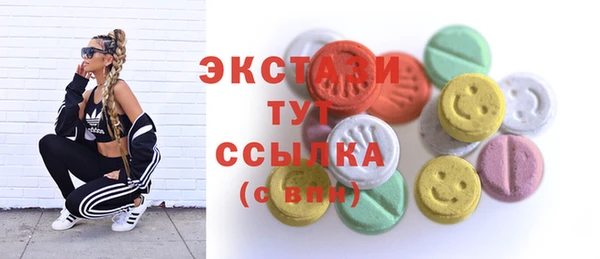 мдпв Анива