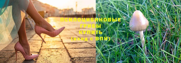 ГАЛЛЮЦИНОГЕННЫЕ ГРИБЫ Лабытнанги
