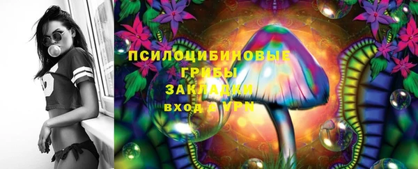 ГАЛЛЮЦИНОГЕННЫЕ ГРИБЫ Лабытнанги