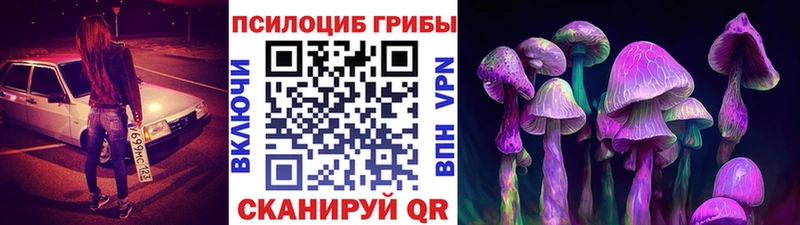 KRAKEN рабочий сайт  Холм  Псилоцибиновые грибы мухоморы 